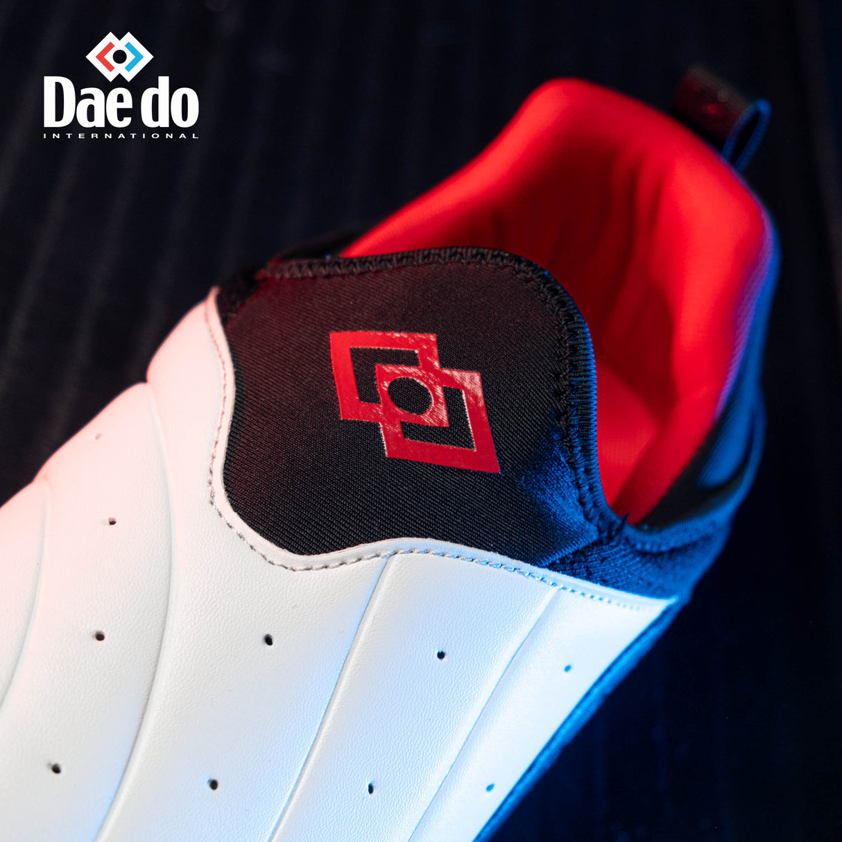 Budo boty DAEDO ACTION - bílá/černá, ZA3110