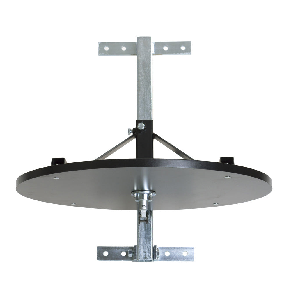 Boxerské plato Fighter Profi - černá, 439-AN