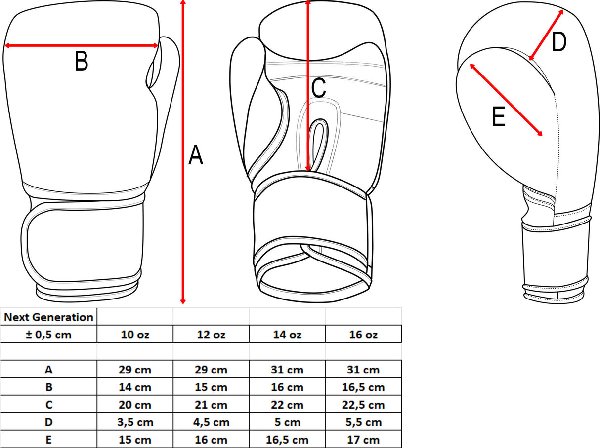 Boxerské rukavice TOP TEN Black Edition, 2516-99