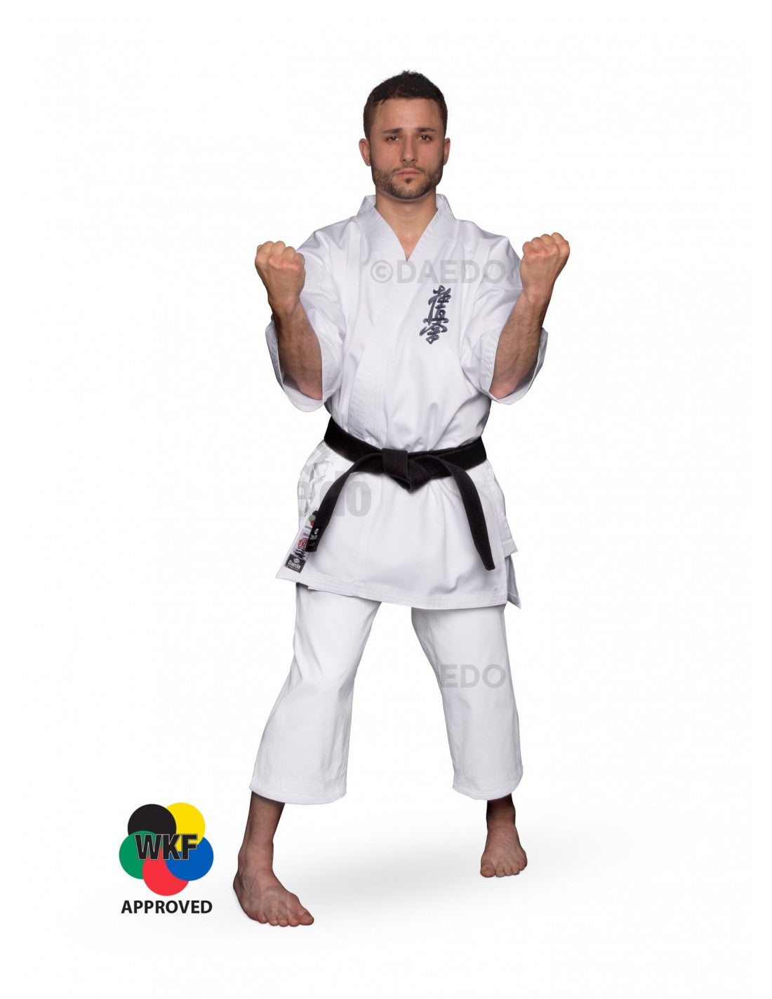Kyokushin Karate gi Daedo, KA1173