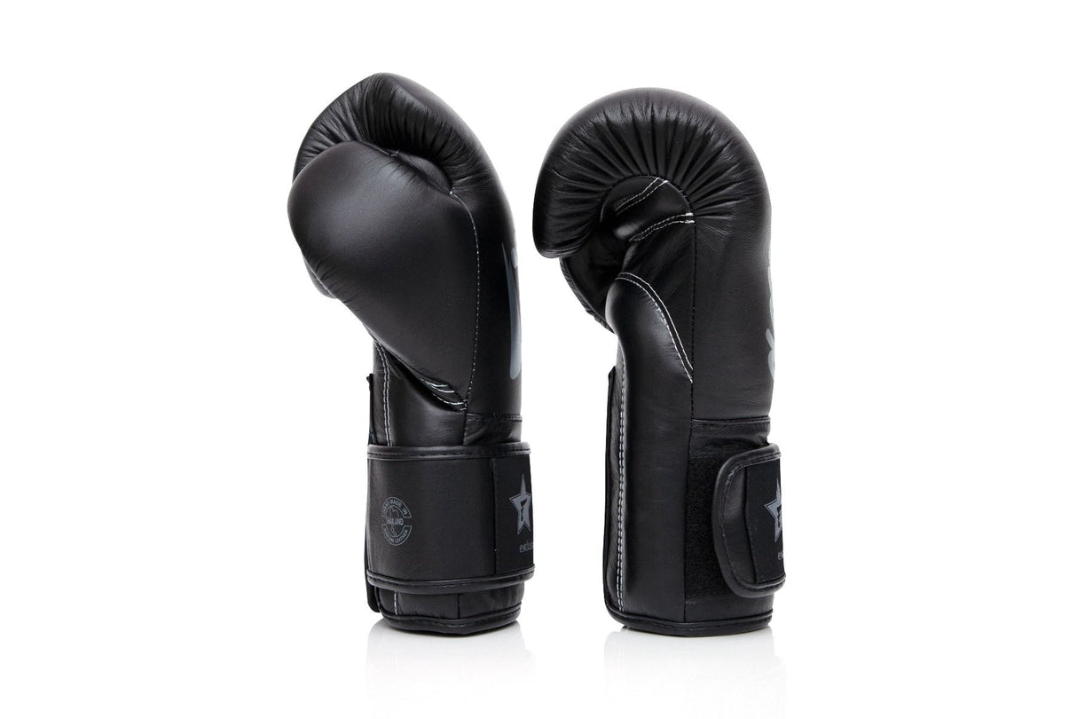 Fairtex boxerské rukavice Booster series - černá/šedá, FXB BG V2 BLACK