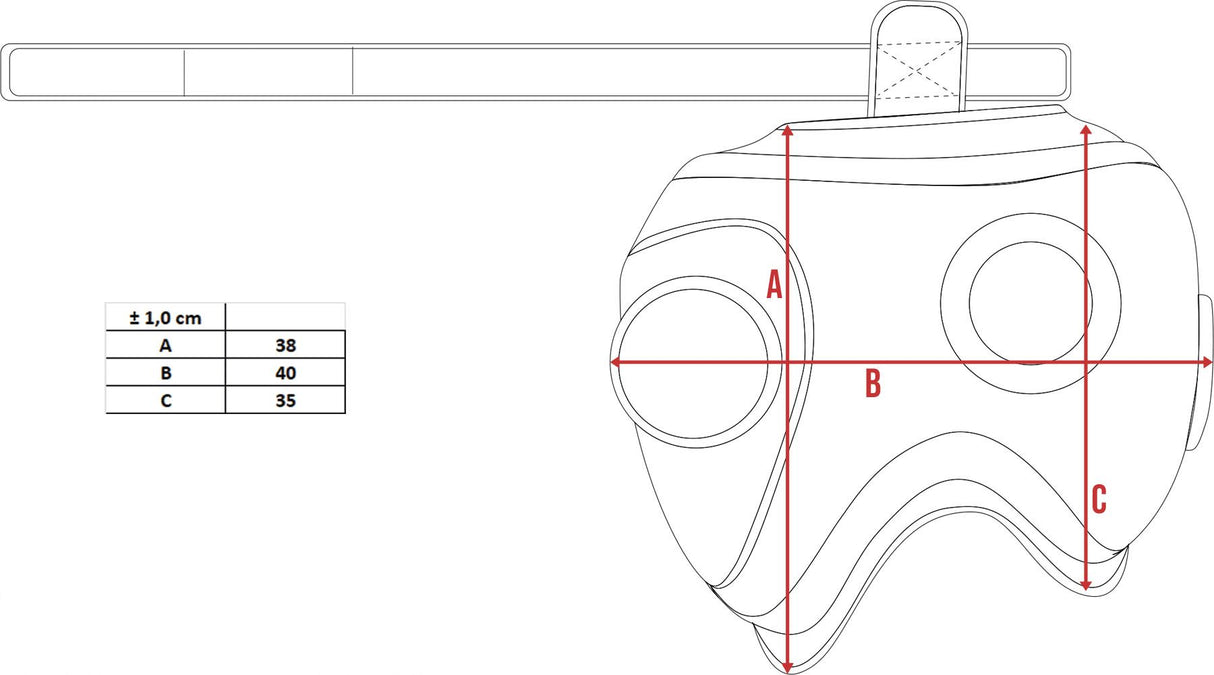 Top Ten IFMA chrániče stehen Kao - černá/zlatá
