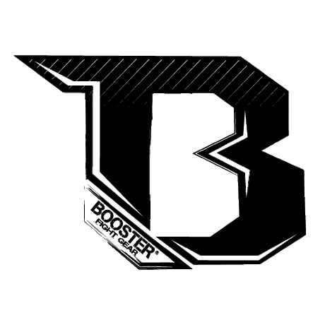 Booster