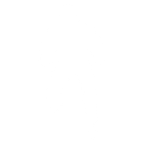 Brazílie a ostatní