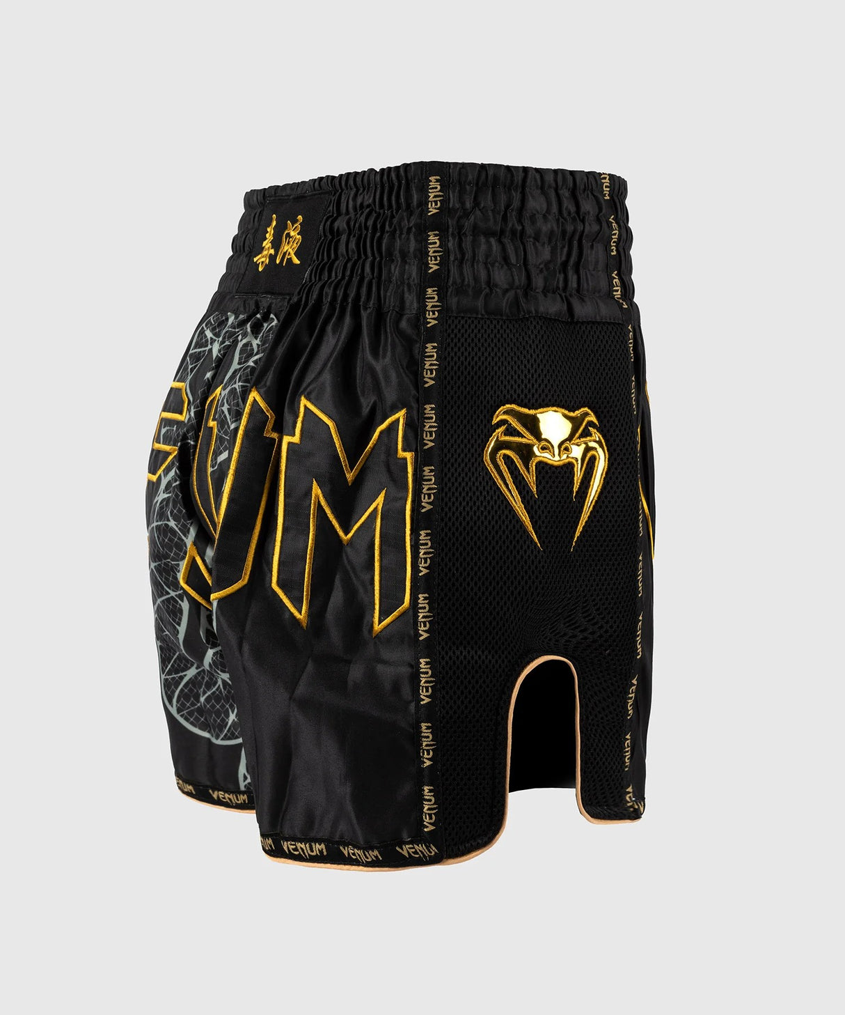 Kraťasy Venum Serpenti Muay Thai - černá/zlatá, VENUM-05753-109