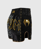 Kraťasy Venum Serpenti Muay Thai - černá/zlatá, VENUM-05753-109