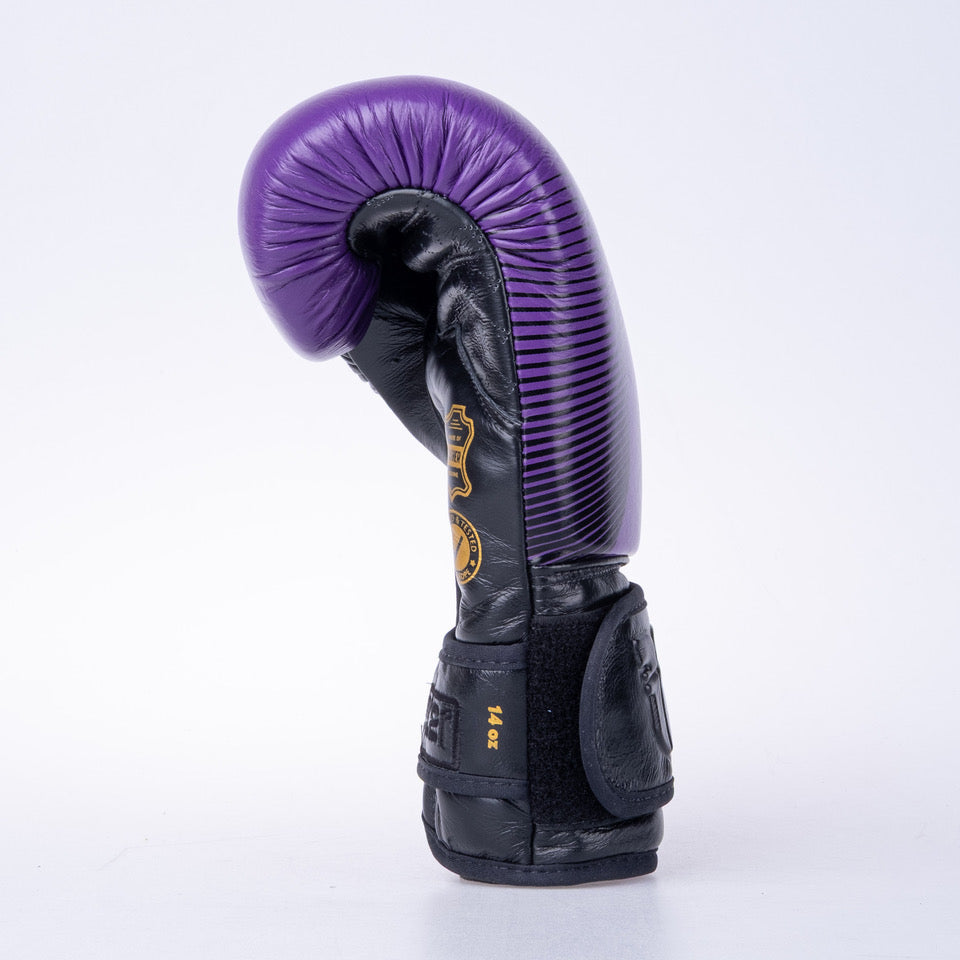 Boxerské rukavice Fighter Pro - fialová/černá, FBG-PRO-006