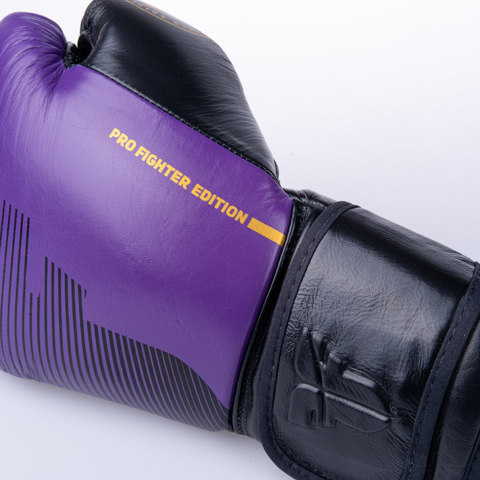 Boxerské rukavice Fighter Pro - fialová/černá, FBG-PRO-006