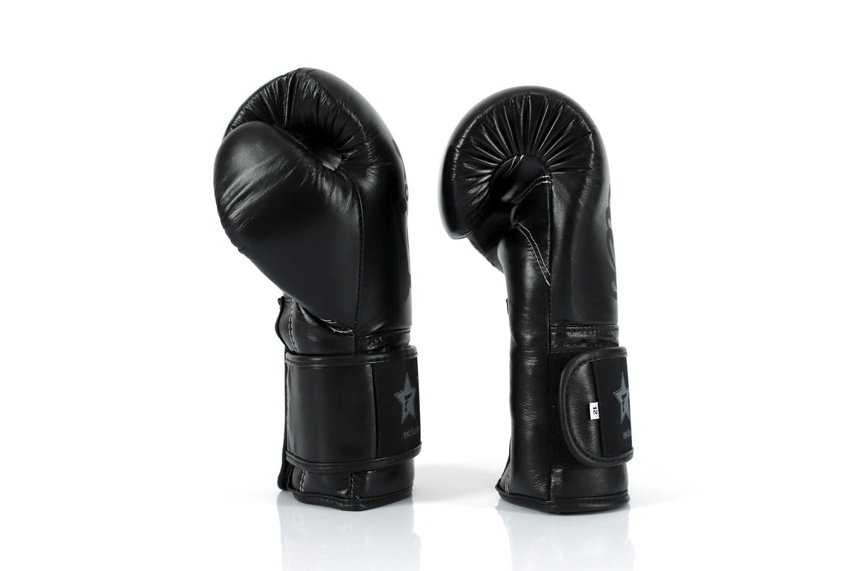 Fairtex boxerské rukavice Booster series - černá
