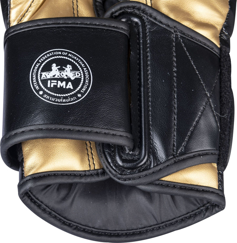 Top Ten IFMA Boxerské rukavice Ajarn PU - černá